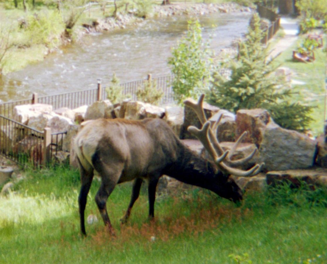 Skyline Cottages Estes Park Kültér fotó